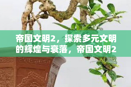 帝国文明2，探索多元文明的辉煌与衰落，帝国文明2，探索多元文明的辉煌与衰落