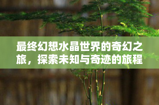 最终幻想水晶世界的奇幻之旅,探索未知与奇迹的旅程,最终幻想水晶世界的奇幻之旅,探索未知与奇迹的旅程 最终幻想水晶世界的奇幻之旅,探索未知与奇迹的旅程,最终幻想水晶世界的奇幻之旅,探索未知与奇迹的旅程