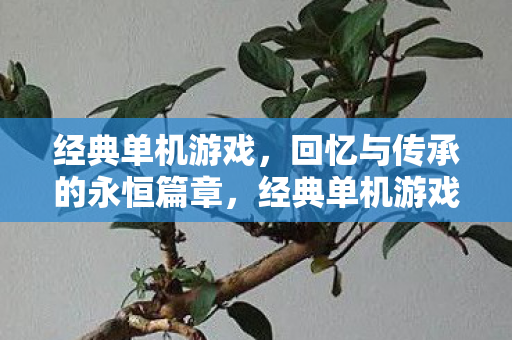 经典单机游戏,回忆与传承的永恒篇章,经典单机游戏,回忆与传承的永恒篇章 经典单机游戏,回忆与传承的永恒篇章,经典单机游戏,回忆与传承的永恒篇章