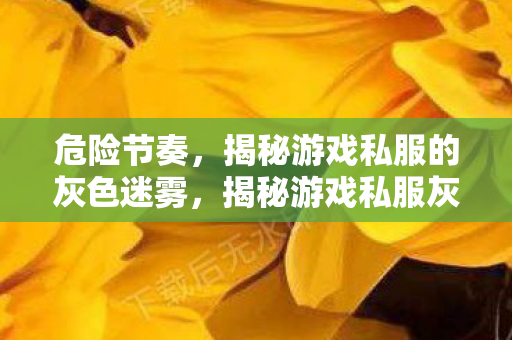 危险节奏，揭秘游戏私服的灰色迷雾，揭秘游戏私服灰色迷雾，危险节奏下的隐秘世界