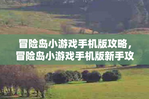 冒险岛小游戏手机版攻略,冒险岛小游戏手机版新手攻略 冒险岛小游戏手机版攻略,冒险岛小游戏手机版新手攻略