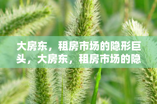 大房东,租房市场的隐形巨头,大房东,租房市场的隐形巨头 大房东,租房市场的隐形巨头,大房东,租房市场的隐形巨头