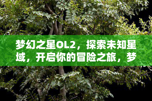 开启你的冒险之旅图片