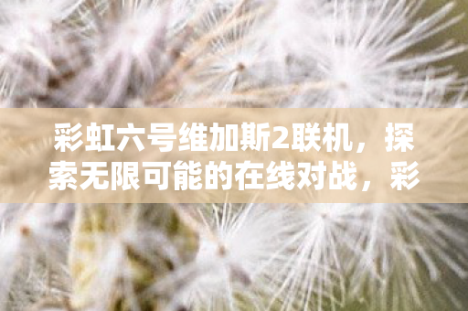 彩虹六号维加斯2联机，探索无限可能的在线对战，彩虹六号，维加斯2联机对战，探索无限可能的在线竞技体验