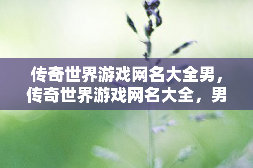 传奇世界游戏网名大全男,传奇世界游戏网名大全,男性玩家创意昵称集合 传奇世界游戏网名大全男,传奇世界游戏网名大全,男性玩家创意昵称集合