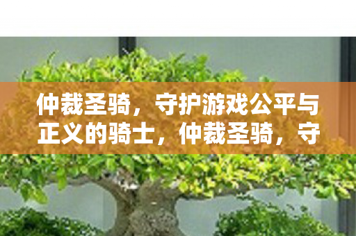 仲裁圣骑，守护游戏公平与正义的骑士，仲裁圣骑，守护游戏公平与正义的骑士