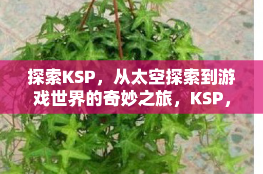 探索KSP，从太空探索到游戏世界的奇妙之旅，KSP，从太空探索到游戏世界的奇妙之旅