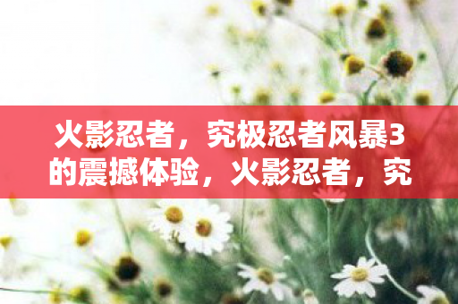 究极忍者风暴3带来震撼游戏体验图片