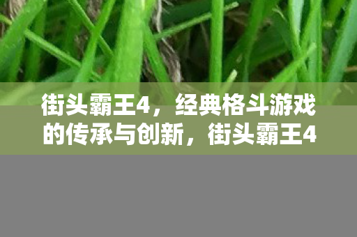 经典格斗游戏的传承与创新图片