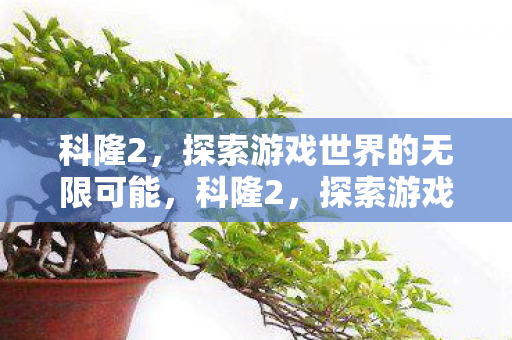 探索游戏世界的无限可能图片