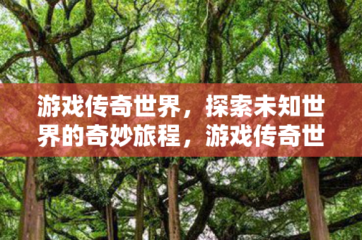 探索未知世界的奇妙旅程图片