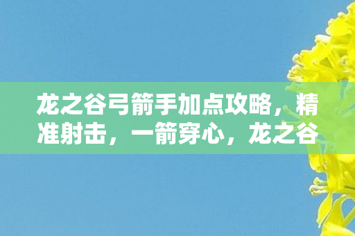 龙之谷弓箭手精准射击加点攻略图片