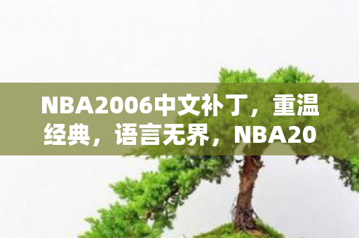 NBA2006中文补丁图片
