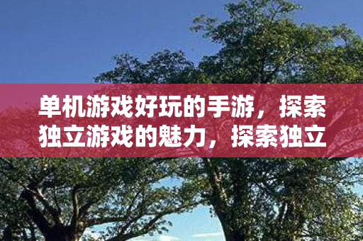 单机游戏好玩的手游，探索独立游戏的魅力，探索独立游戏魅力，推荐几款好玩的单机手游