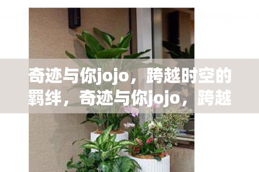奇迹与你jojo图片