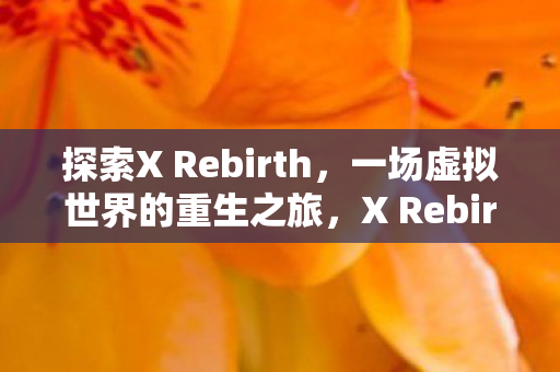 探索X Rebirth，一场虚拟世界的重生之旅，X Rebirth，虚拟世界的重生之旅