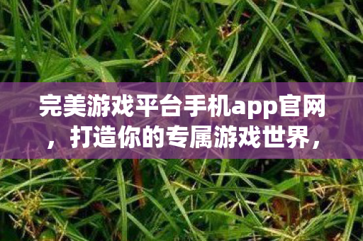 完美游戏平台手机app官网,打造你的专属游戏世界,完美游戏平台手机app官网,打造你的专属游戏世界 完美游戏平台手机app官网,打造你的专属游戏世界,完美游戏平台手机app官网,打造你的专属游戏世界