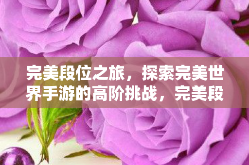 完美段位之旅,探索完美世界手游的高阶挑战,完美段位之旅,揭秘完美世界手游高阶挑战 完美段位之旅,探索完美世界手游的高阶挑战,完美段位之旅,揭秘完美世界手游高阶挑战