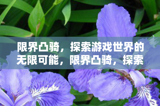 限界凸骑,探索游戏世界的无限可能,限界凸骑,探索游戏世界的无限可能 限界凸骑,探索游戏世界的无限可能,限界凸骑,探索游戏世界的无限可能