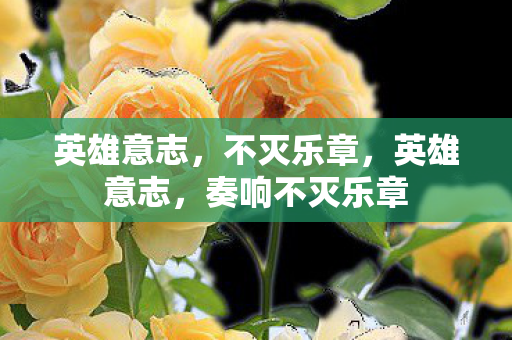 英雄意志，不灭乐章，英雄意志，奏响不灭乐章