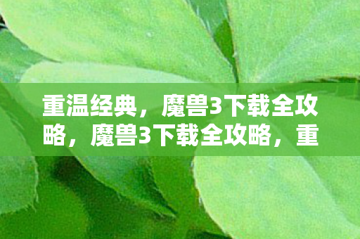 重温经典,魔兽3下载全攻略,魔兽3下载全攻略,重温经典,畅享游戏乐趣 重温经典,魔兽3下载全攻略,魔兽3下载全攻略,重温经典,畅享游戏乐趣
