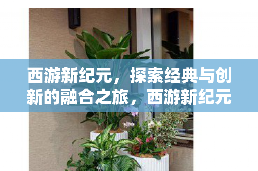 探索经典与创新的融合之旅图片