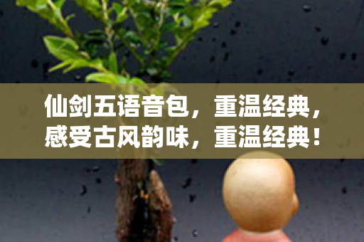 仙剑五语音包带你感受古风韵味图片