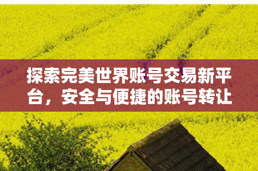 探索完美世界账号交易新平台，安全与便捷的账号转让体验，探索安全便捷的账号转让新平台，完美世界账号交易体验