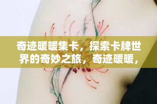 探索卡牌世界的奇妙之旅图片