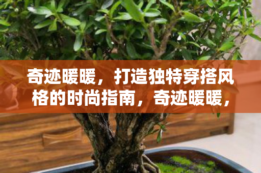 打造独特穿搭风格的时尚指南图片