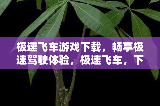 极速飞车游戏下载,畅享极速驾驶体验,极速飞车,下载游戏,体验极速驾驶乐趣 极速飞车游戏下载,畅享极速驾驶体验,极速飞车,下载游戏,体验极速驾驶乐趣