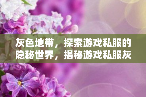 灰色地带，探索游戏私服的隐秘世界，揭秘游戏私服灰色地带的隐秘世界