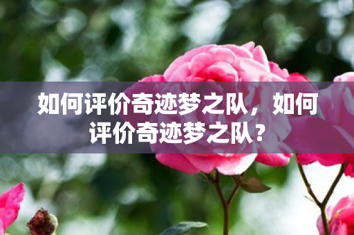 如何评价奇迹梦之队,如何评价奇迹梦之队? 如何评价奇迹梦之队,如何评价奇迹梦之队?