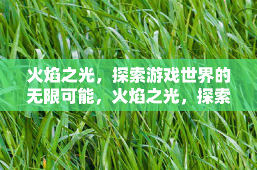 火焰之光,探索游戏世界的无限可能,火焰之光,探索游戏世界的无限可能 火焰之光,探索游戏世界的无限可能,火焰之光,探索游戏世界的无限可能