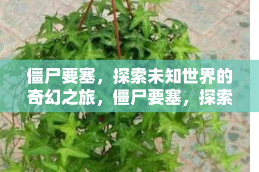 探索未知世界的奇幻之旅图片