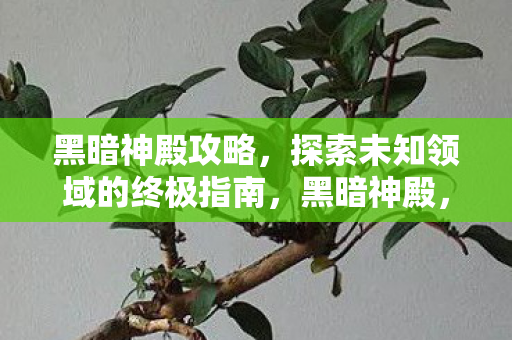探索未知领域的终极指南图片