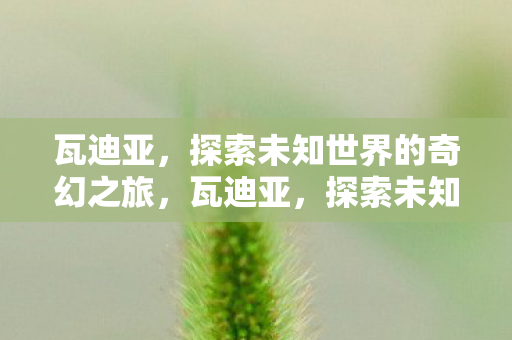 探索未知世界的奇幻之旅图片