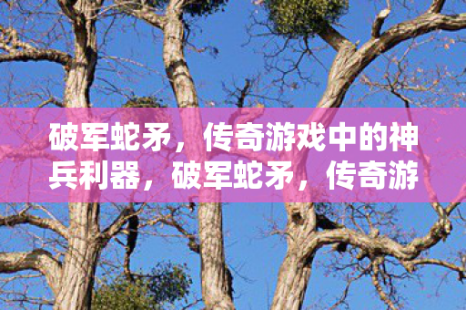 传奇游戏中的神兵利器图片