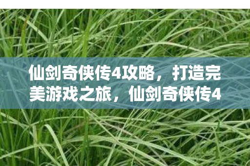 仙剑奇侠传4攻略，打造完美游戏之旅，仙剑奇侠传4攻略，打造完美游戏之旅