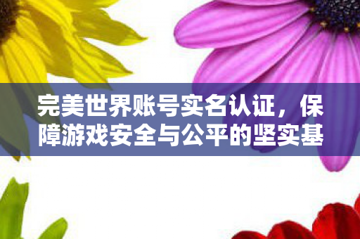 完美世界账号实名认证,保障游戏安全与公平的坚实基石,实名认证,保障完美世界游戏安全与公平的基石 完美世界账号实名认证,保障游戏安全与公平的坚实基石,实名认证,保障完美世界游戏安全与公平的基石