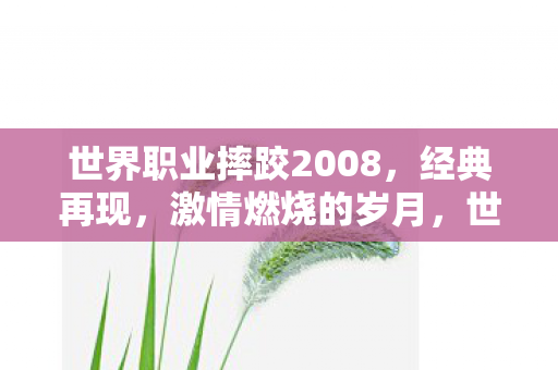 世界职业摔跤2008,经典再现,激情燃烧的岁月,世界职业摔跤2008,经典再现,激情燃烧的岁月 世界职业摔跤2008,经典再现,激情燃烧的岁月,世界职业摔跤2008,经典再现,激情燃烧的岁月