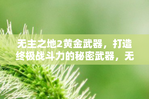 无主之地2黄金武器,打造终极战斗力的秘密武器,无主之地2黄金武器,打造终极战斗力的秘密武器 无主之地2黄金武器,打造终极战斗力的秘密武器,无主之地2黄金武器,打造终极战斗力的秘密武器
