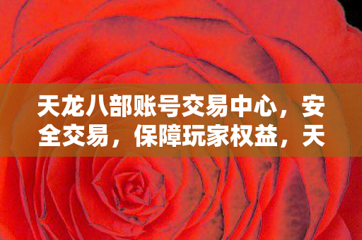 天龙八部账号交易中心图片