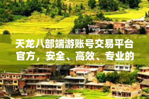 专业的天龙八部端游账号交易平台图片