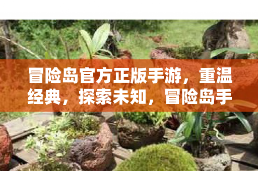 冒险岛官方正版手游,重温经典,探索未知,冒险岛手游,重温经典,探索未知之旅 冒险岛官方正版手游,重温经典,探索未知,冒险岛手游,重温经典,探索未知之旅