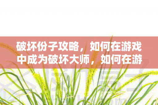 破坏份子攻略,如何在游戏中成为破坏大师,如何在游戏中成为破坏大师,破坏份子攻略 破坏份子攻略,如何在游戏中成为破坏大师,如何在游戏中成为破坏大师,破坏份子攻略