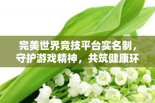 完美世界竞技平台实名制,守护游戏精神,共筑健康环境,完美世界竞技平台实名制,共筑健康游戏环境 完美世界竞技平台实名制,守护游戏精神,共筑健康环境,完美世界竞技平台实名制,共筑健康游戏环境