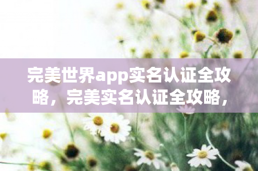 完美世界app实名认证全攻略,完美实名认证全攻略,玩转完美世界APP 完美世界app实名认证全攻略,完美实名认证全攻略,玩转完美世界APP
