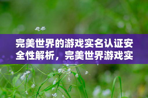 完美世界的游戏实名认证安全性解析,完美世界游戏实名认证安全性解析 完美世界的游戏实名认证安全性解析,完美世界游戏实名认证安全性解析