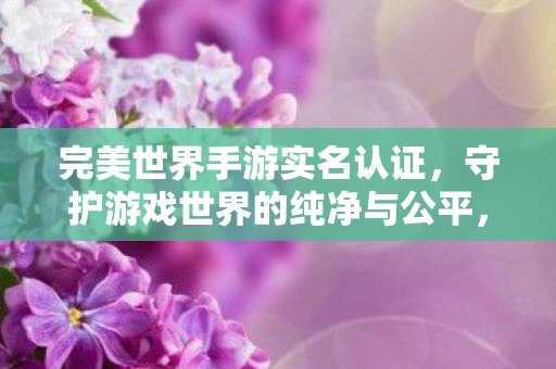完美世界手游实名认证,守护游戏世界的纯净与公平,完美世界手游实名认证,守护游戏世界的纯净与公平 完美世界手游实名认证,守护游戏世界的纯净与公平,完美世界手游实名认证,守护游戏世界的纯净与公平